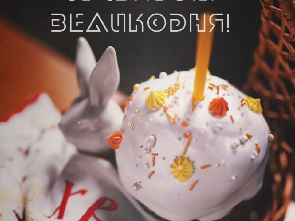 669416533 1592844679511374 8438859169367058052 n